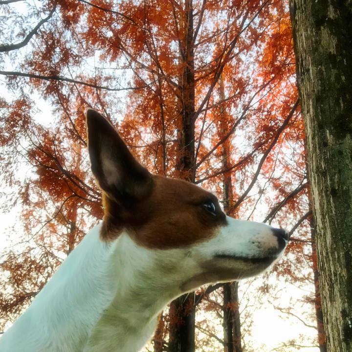 7cb47afa bf3f 4b87 9077 0240e6a80b17 1512226828885