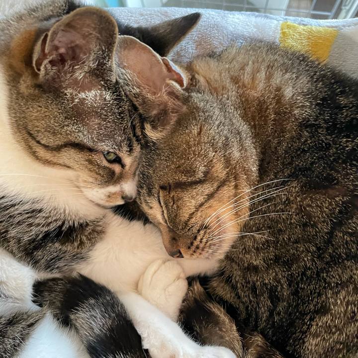 7cb49e8b 95b7 457c 92cf 3615e4bfe286 1621132464431