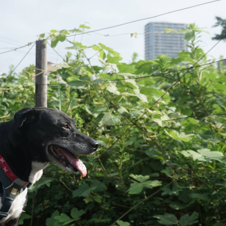 7cb4b2c2 e1ef 465e 90d8 9c1421aff5b2 1755130140643