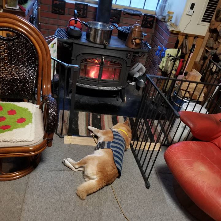 7cb4bba3 cac0 4b6d a655 4dc41ea6750a 1675325447502