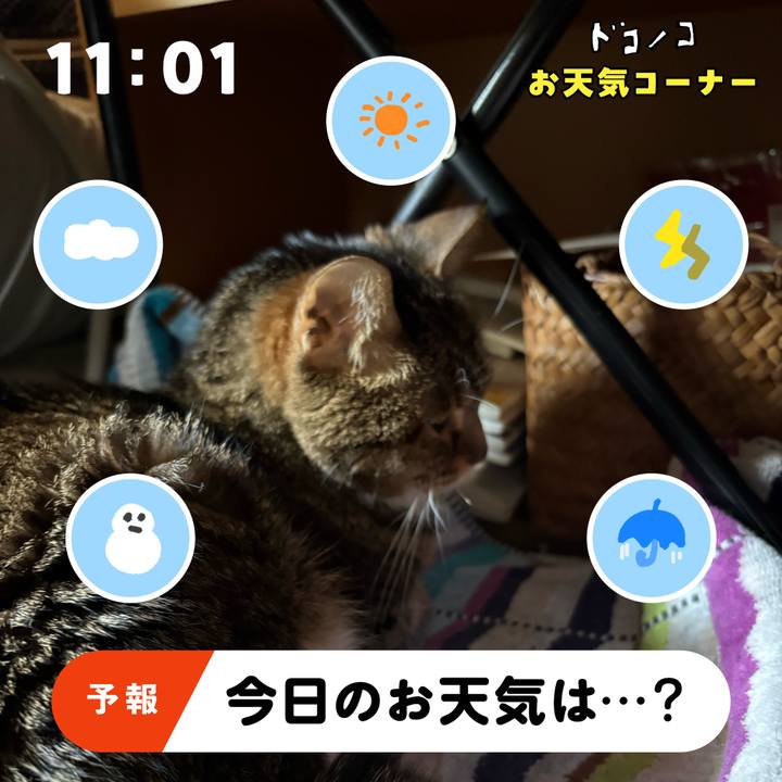 7cb4d3f2 7259 4489 ac96 e423241ed129 1781566296894