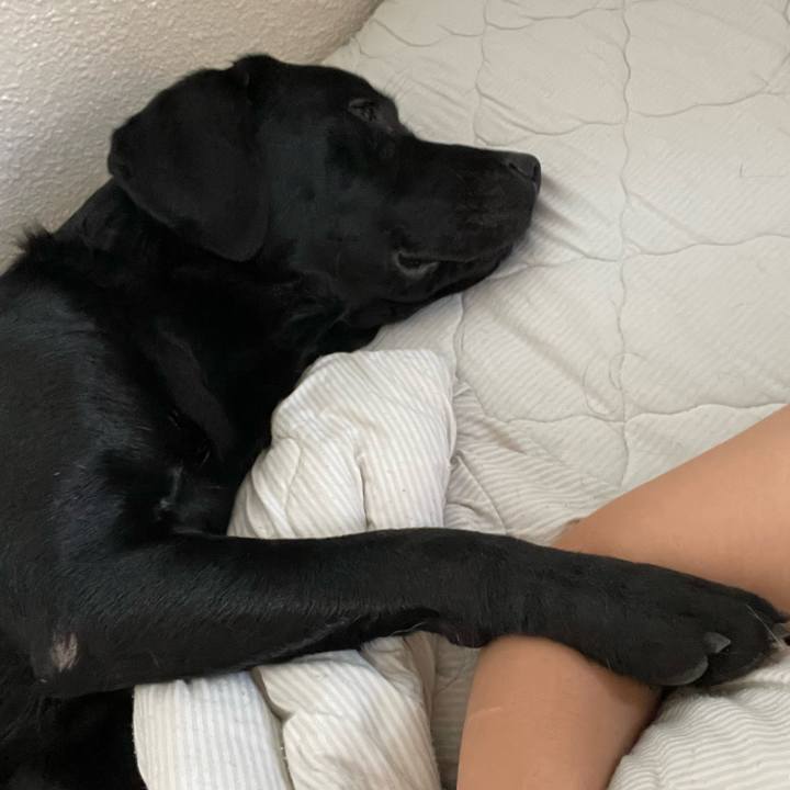 7cb4f89b ecb9 4059 a828 d5e53e36ea9e 1659486617361