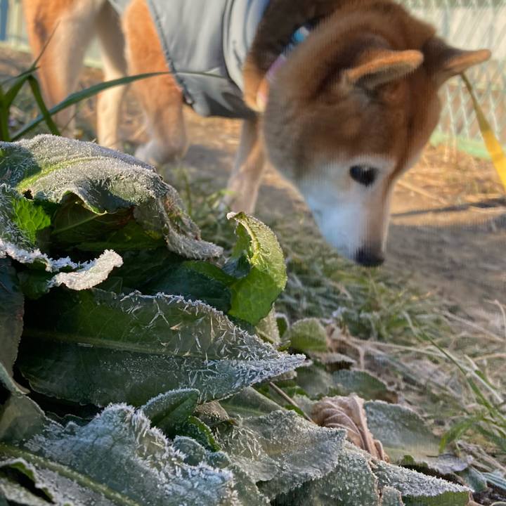 7cb4f9f6 338c 469e b57c dd03f66e3be5 1767833355279