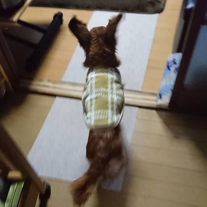 7cb51d0e da11 4c1f b11b 5950decc92a1 1514622136579