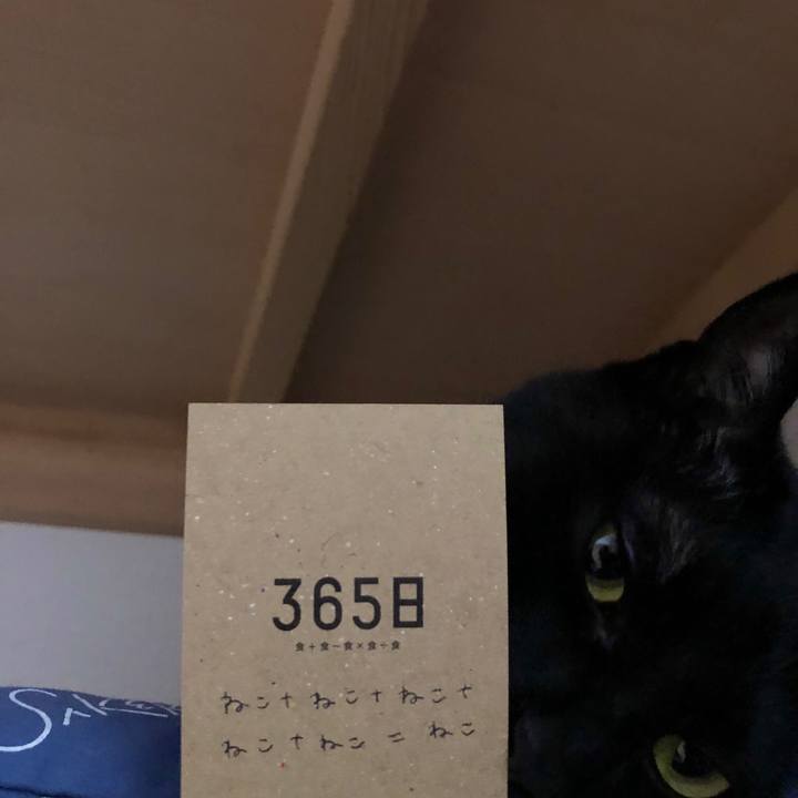 7cb5223e 2e43 4611 b80c a66d77a75fa7 1583885615319