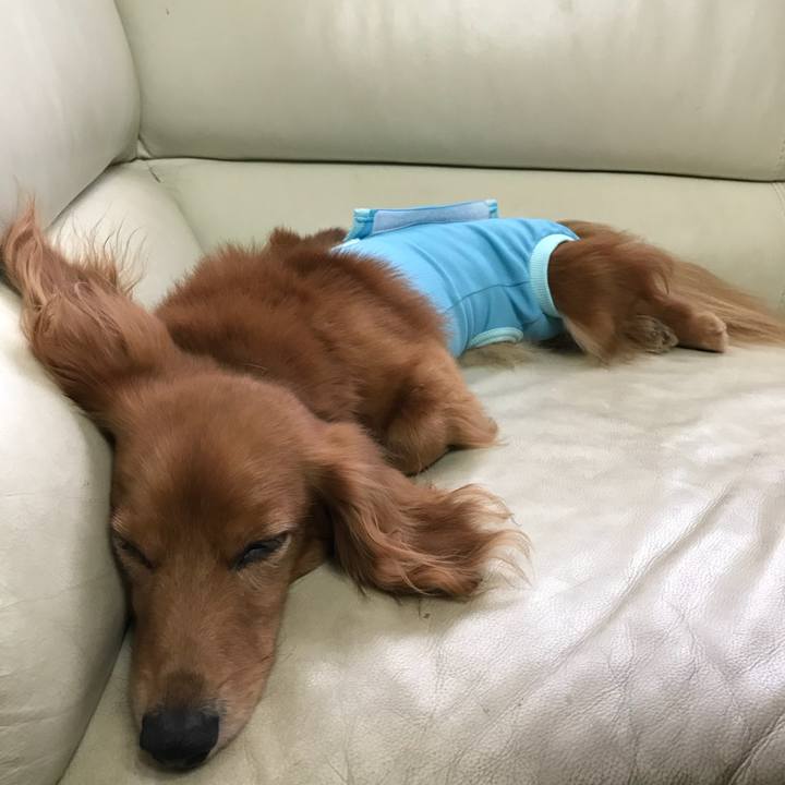 7cb544b8 7622 4217 895b c894d5b56bf0 1507956059077