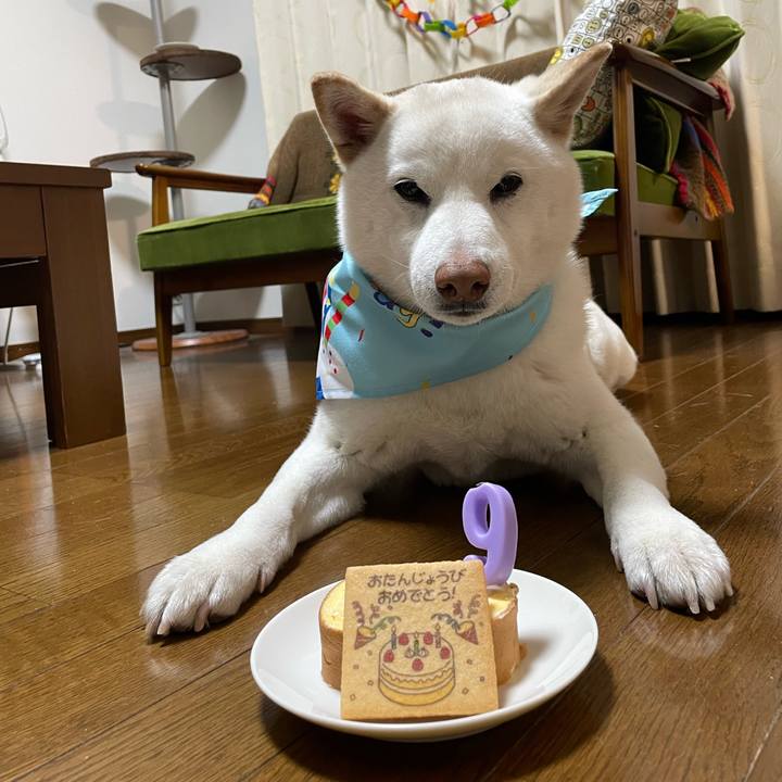 7cb55994 8f5e 4dbd ad10 d5da71759d40 1648472982104