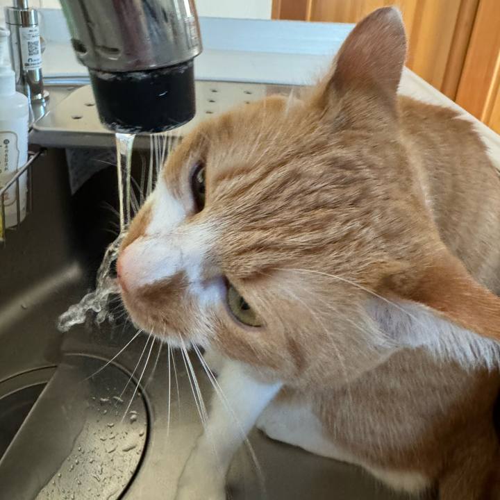 7cb5a1a1 ced7 4473 bde9 c66275d13e7e 1766111386231