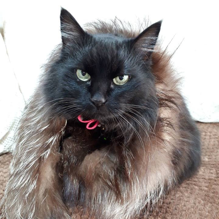 7cb5b831 7d40 465d ba28 0e2439cd79f4 1519081896858