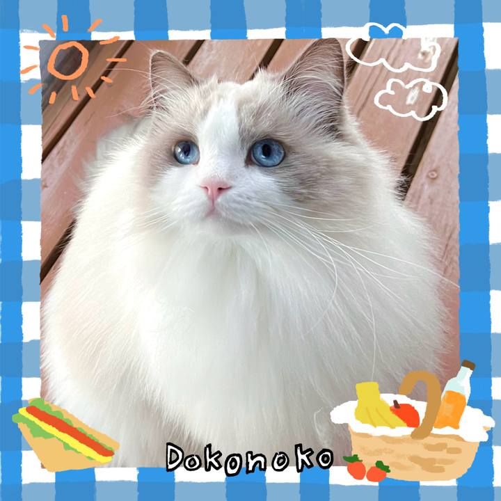 7cb60c52 f30c 44c9 974c 742d8fc5c94c 1744354881652