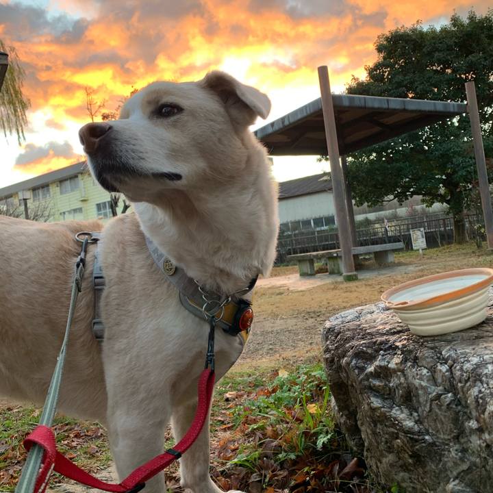 7cb62500 c741 432c 8c48 752c779cce83 1577423750684