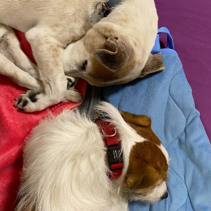 7cb67b38 953d 42bf ab2b 456fe5856436 1654873847661