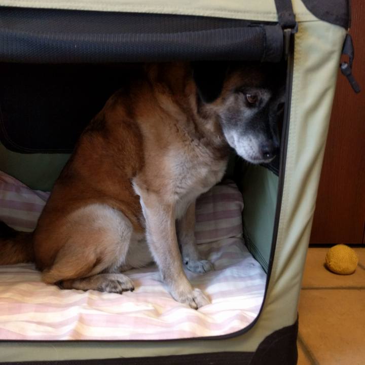 7cb682ea 8370 4877 98a8 a494f256b324 1529397062262