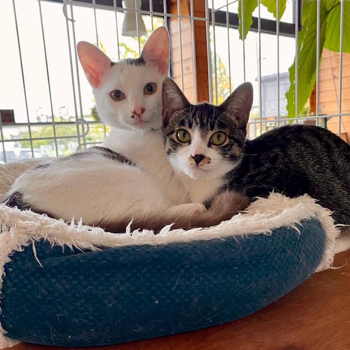 7cb69d06 bbc6 462f a0ee c6503c16ce4a 1694675559155