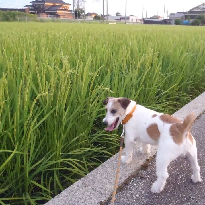 7cb69e1e 2107 4a51 9da3 94c1a5a2360b 1533375036611