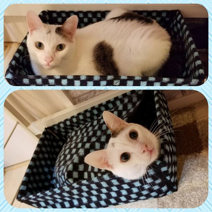 7cb6ab38 aa67 4ee5 88c7 b69f570d7aee 1574006962242