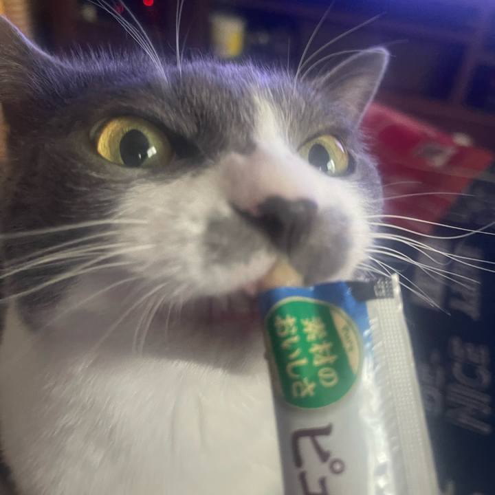 7cb6b7ad 95b7 49ef 8abe d2ff012b3006 1724913344969