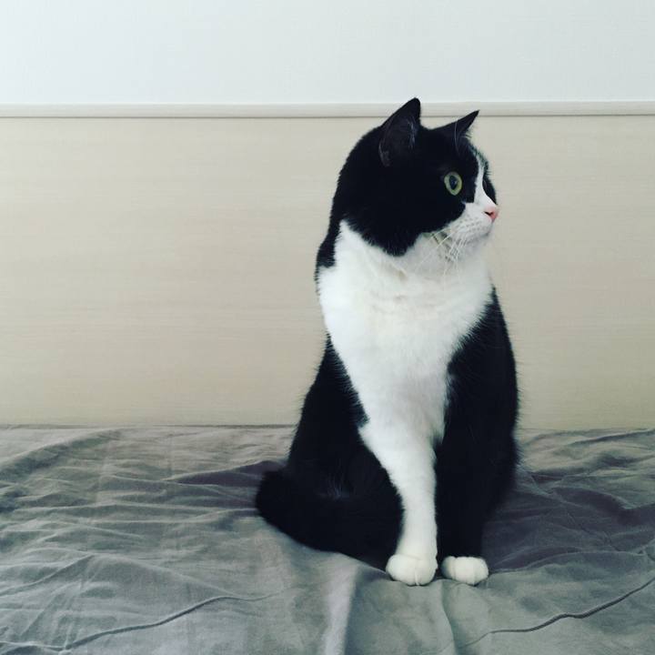 7cb6cc75 98b6 4430 a2dd 04db3b9a8d2d 1615686945441