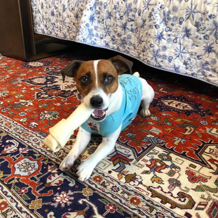 7cb6ce39 adc3 40bc 876e 5a81a2a9d840 1565481694805