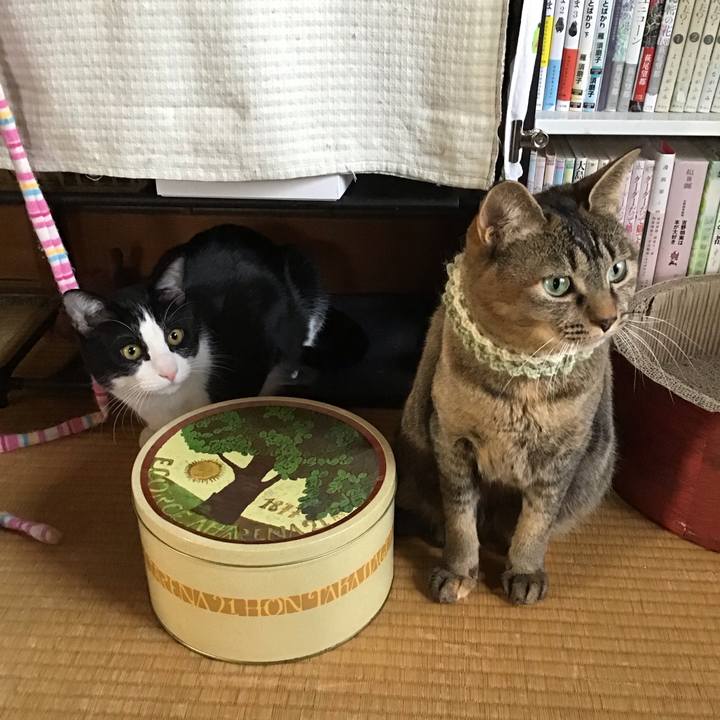 7cb6f9c7 c907 4683 9a0c e5200364033b 1646641826904