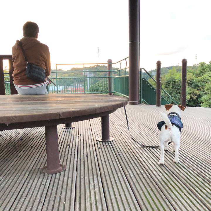 7cb71996 00c8 4fe2 9f07 bd552c64be69 1541494429129