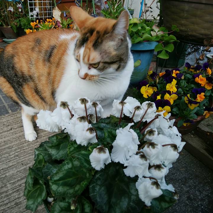 7cb72a15 8eea 491f 818d e4fccbb70ad3 1550389177690