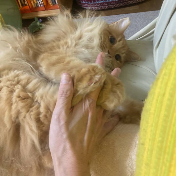 7cb7315b 1bed 440e b95f 546b7aa54790 1763208984216