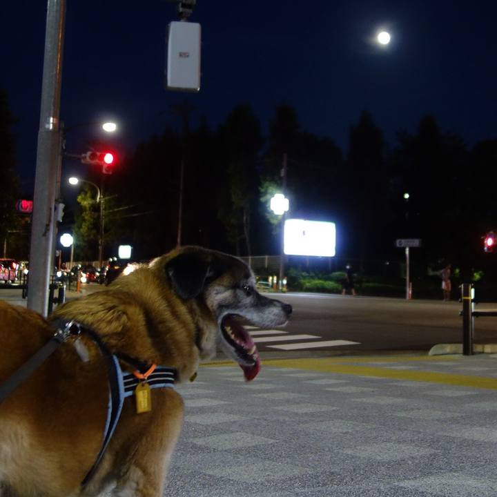 7cb799ca 3d25 47cb abaa 11368ac6ca68 1565693301522