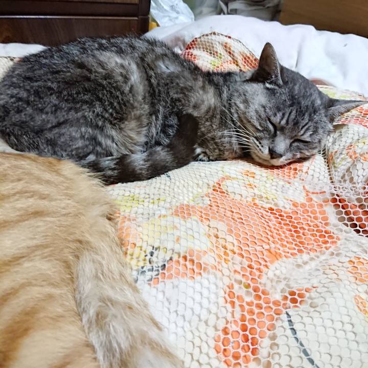 7cb7b424 3d9f 4796 879d c269c680678f 1569241118251