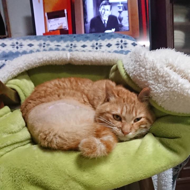 7cb7d6c9 98d8 48b8 b66d 05a98af636c1 1654984329413