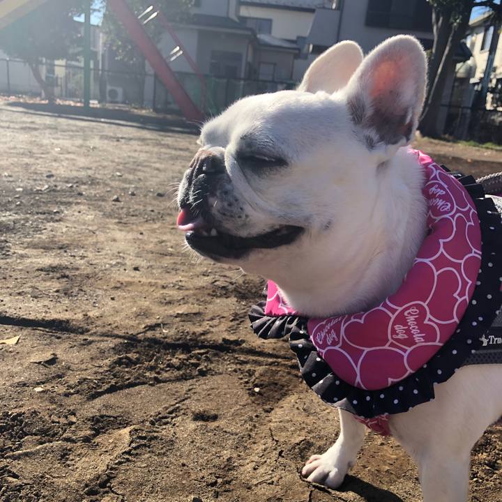 7cb83a55 4e34 45fa b5ae b71cade2175c 1640673898589