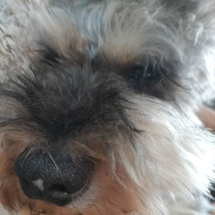 7cb87667 15fb 4e38 af5f ff560aefd769 1692406801207