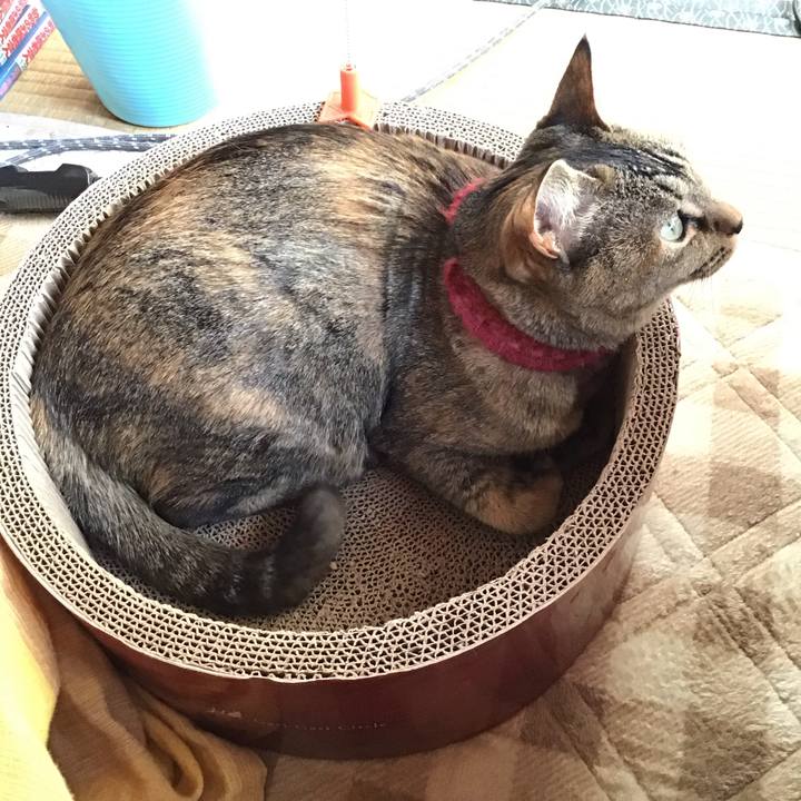 7cb877e8 e0f4 4ee9 8a5a bd75d842e513 1613180053465