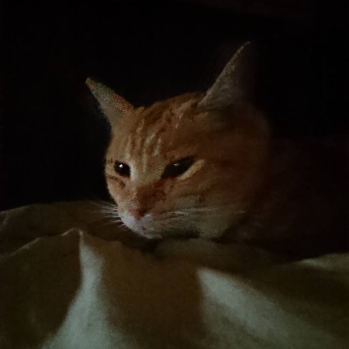 7cb8959e b7db 49e0 b2a4 f96c2b970406 1588538229777