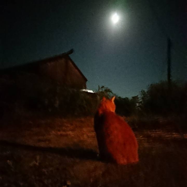 7cb8abe2 b4d1 4b3b acf9 b5fcc0386aa9 1601289808893