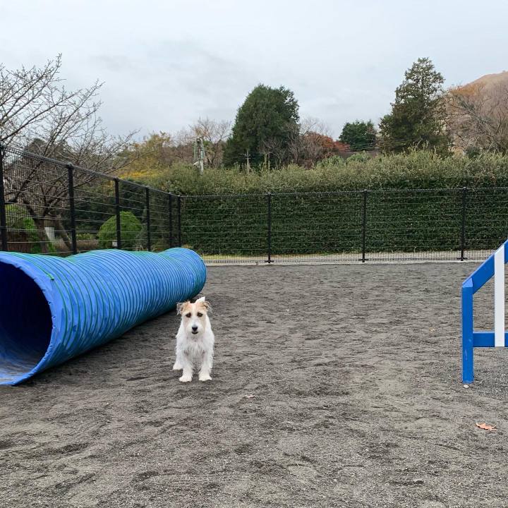 7cb8ef53 7525 4e0f 9d71 7f7fec1b8011 1669644540114