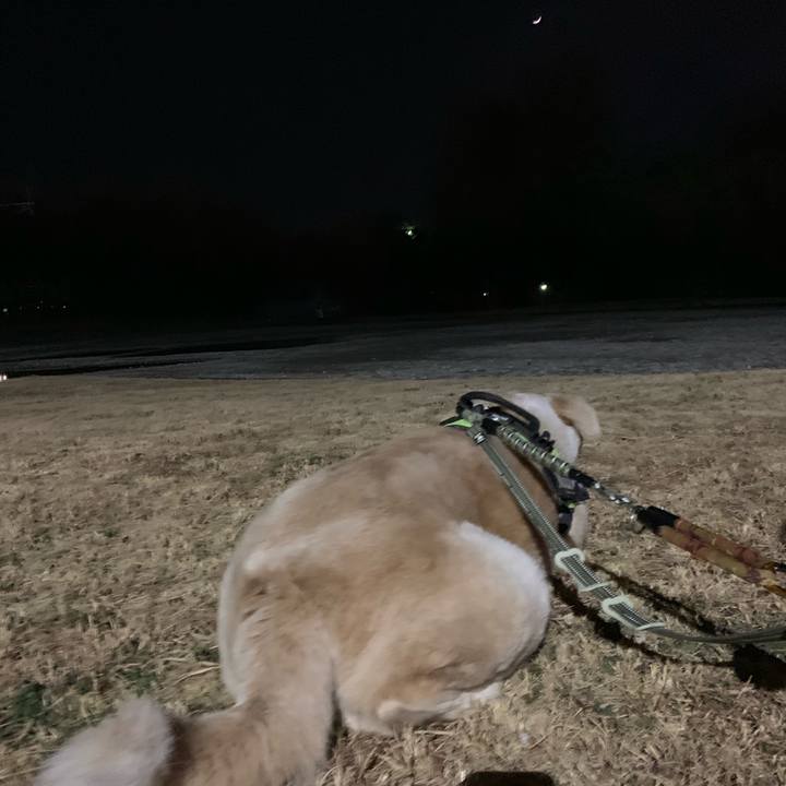 7cb9007f a6a3 4558 a7d7 c0dcc1f7105b 1549627412564