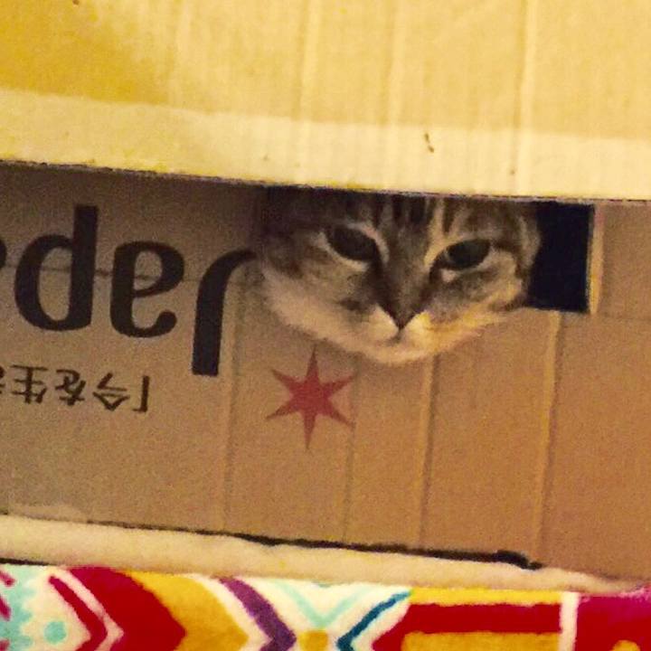 7cb940ff d0f2 49a2 8b00 469636b22a50 1547273828887