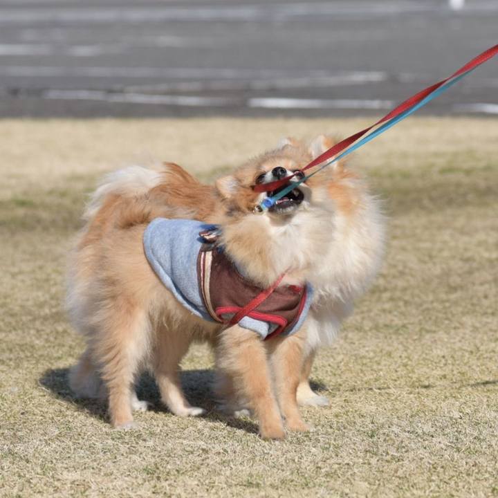 7cb94be7 23f1 43d3 bf9c b83bafa5fb83 1521546833925