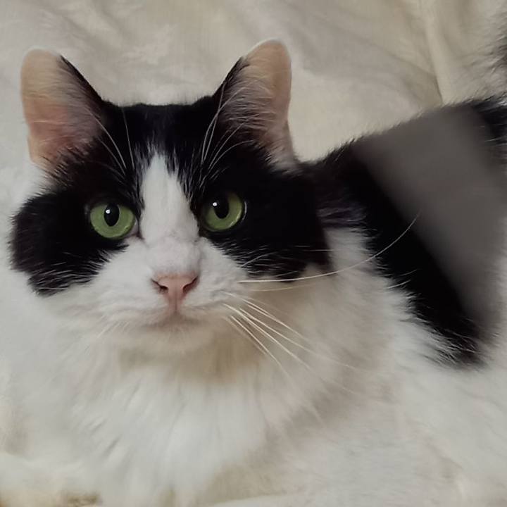 7cb97342 fb45 48fb b582 574531d045d8 1633175508729