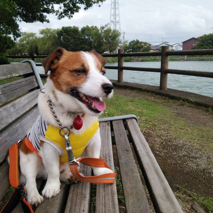 7cb9901e 1251 45b6 9ac4 0758753d5f58 1531263534205