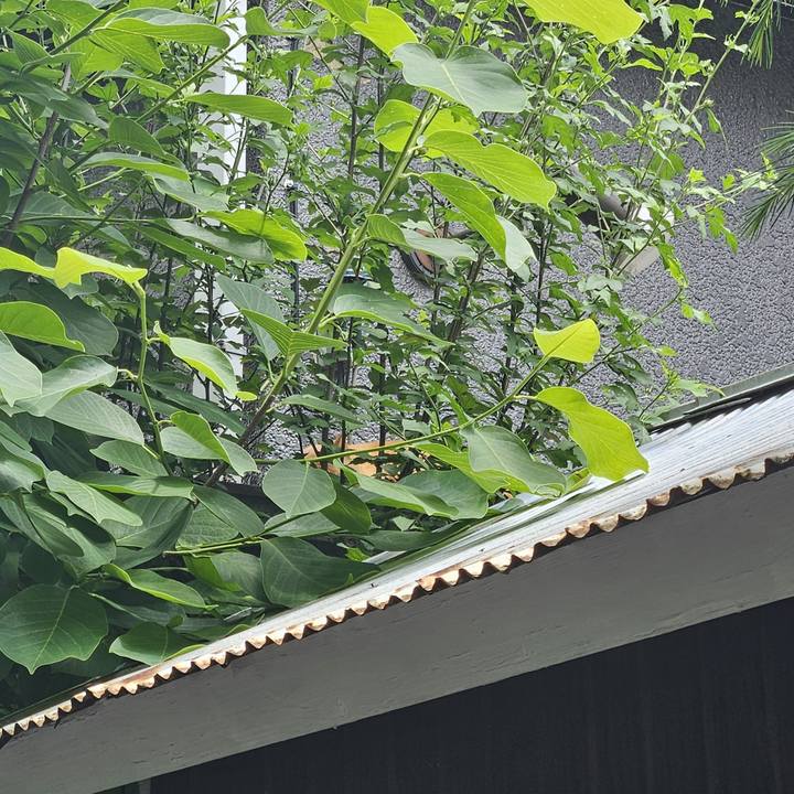 7cb996a8 81ea 4938 be9d 4504fda284a3 1717387388041