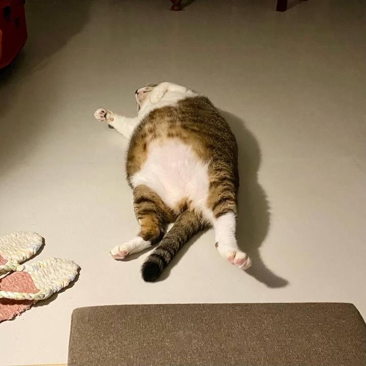 7cb99f19 8728 4db1 aa26 7877c819f540 1756220038419