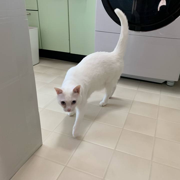 7cb9be20 381d 4c62 9dd2 aae737f2b2fe 1633156004415