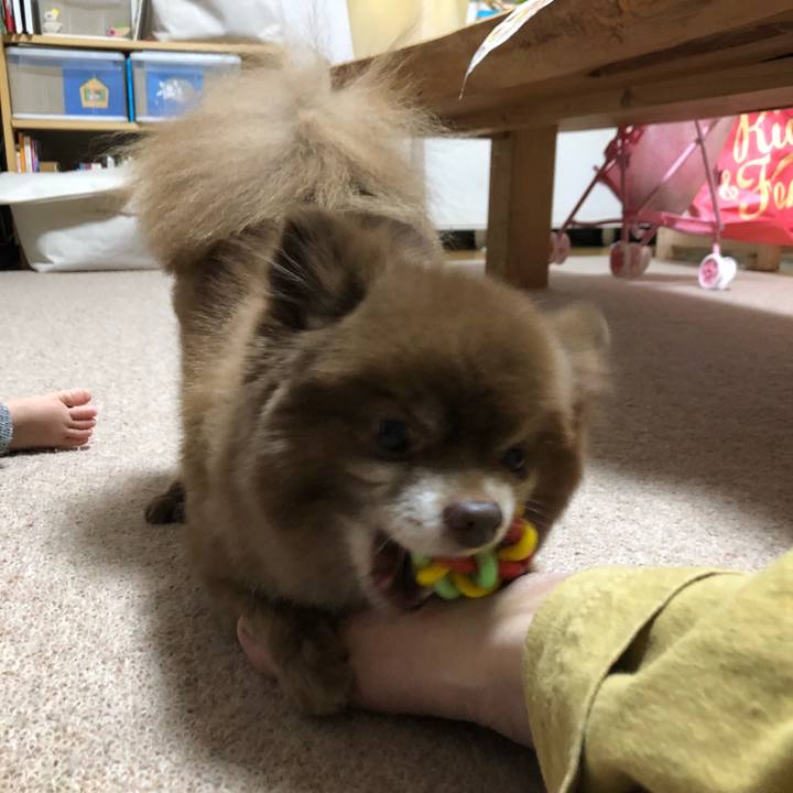 7cb9da86 b953 4034 bb9e c9e5673d2e0b 1575870672775