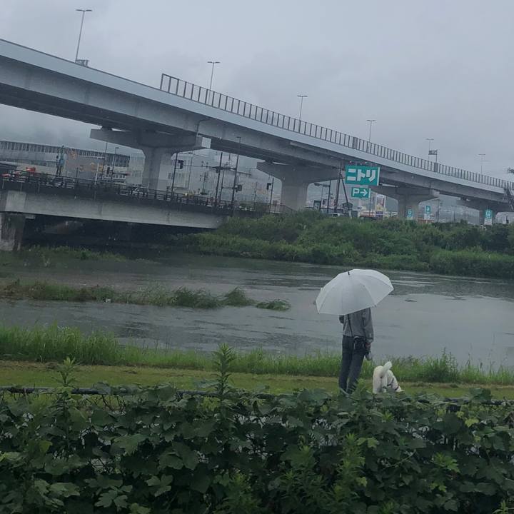 7cb9e723 0ed3 4550 9c16 b25ae6bb7286 1594525469306