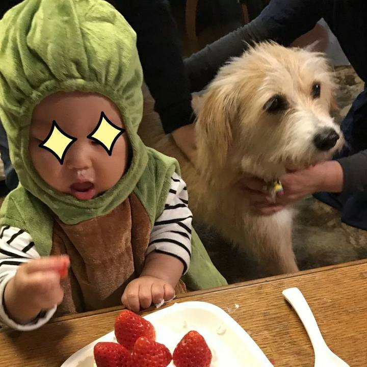 7cba2d37 f1ce 4ed6 8f4f ccdba333b944 1511732799782