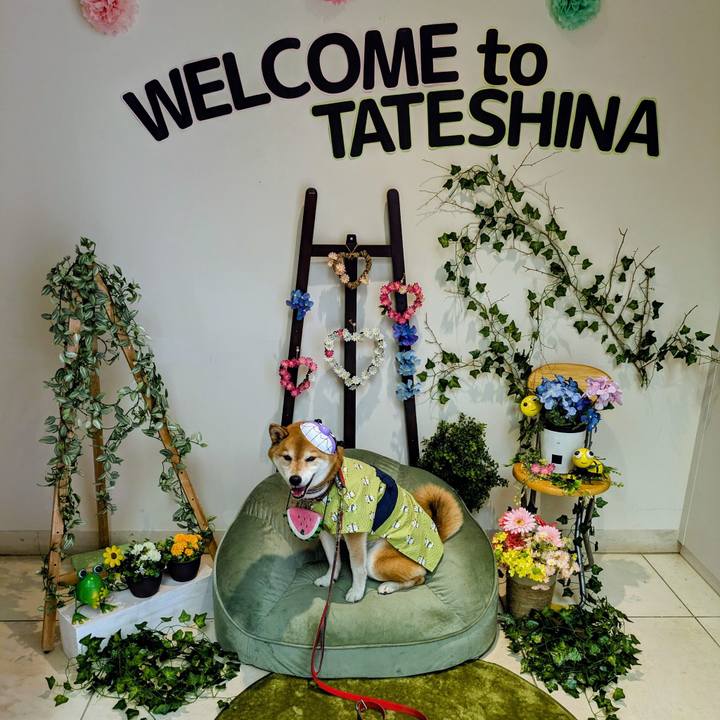 7cba7ba5 8c26 4d08 9d2c 6a648019baad 1751680553434