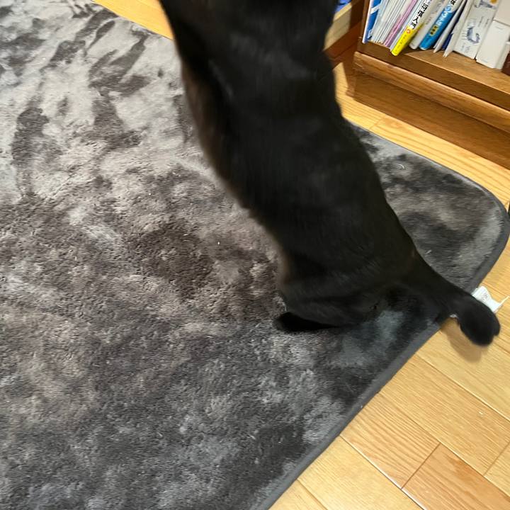 7cbaa65f 212d 4acd 8acb f8a379f294d9 1645451750399