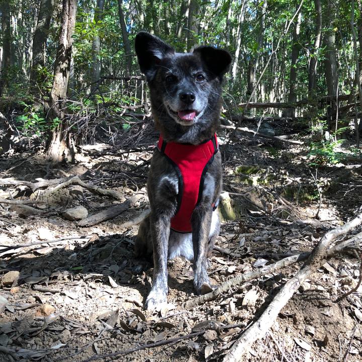 7cbab599 8f99 42c0 87cc df34834382e3 1606794548483